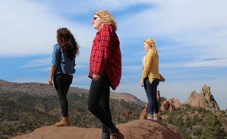 Affordable Professional Services with top quality support